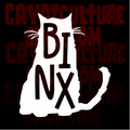 HOCUS POCUS - Binx Silhouette