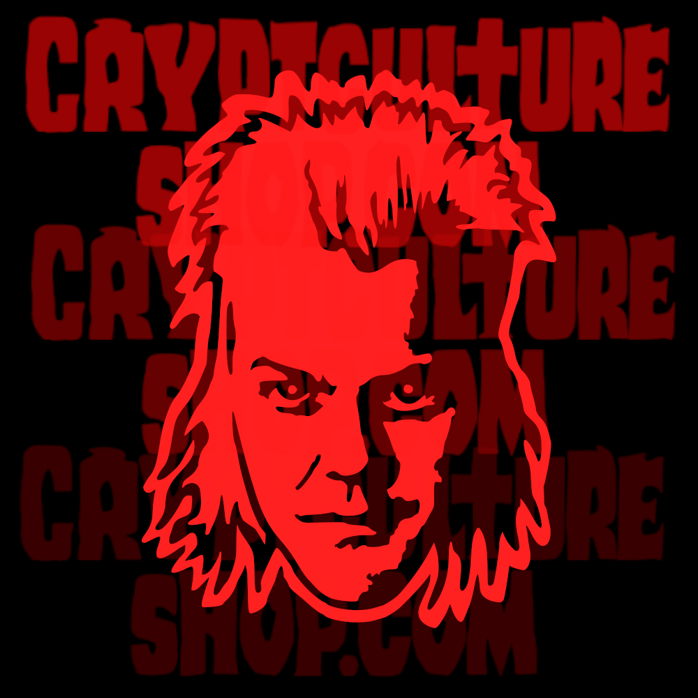 LOST BOYS - David