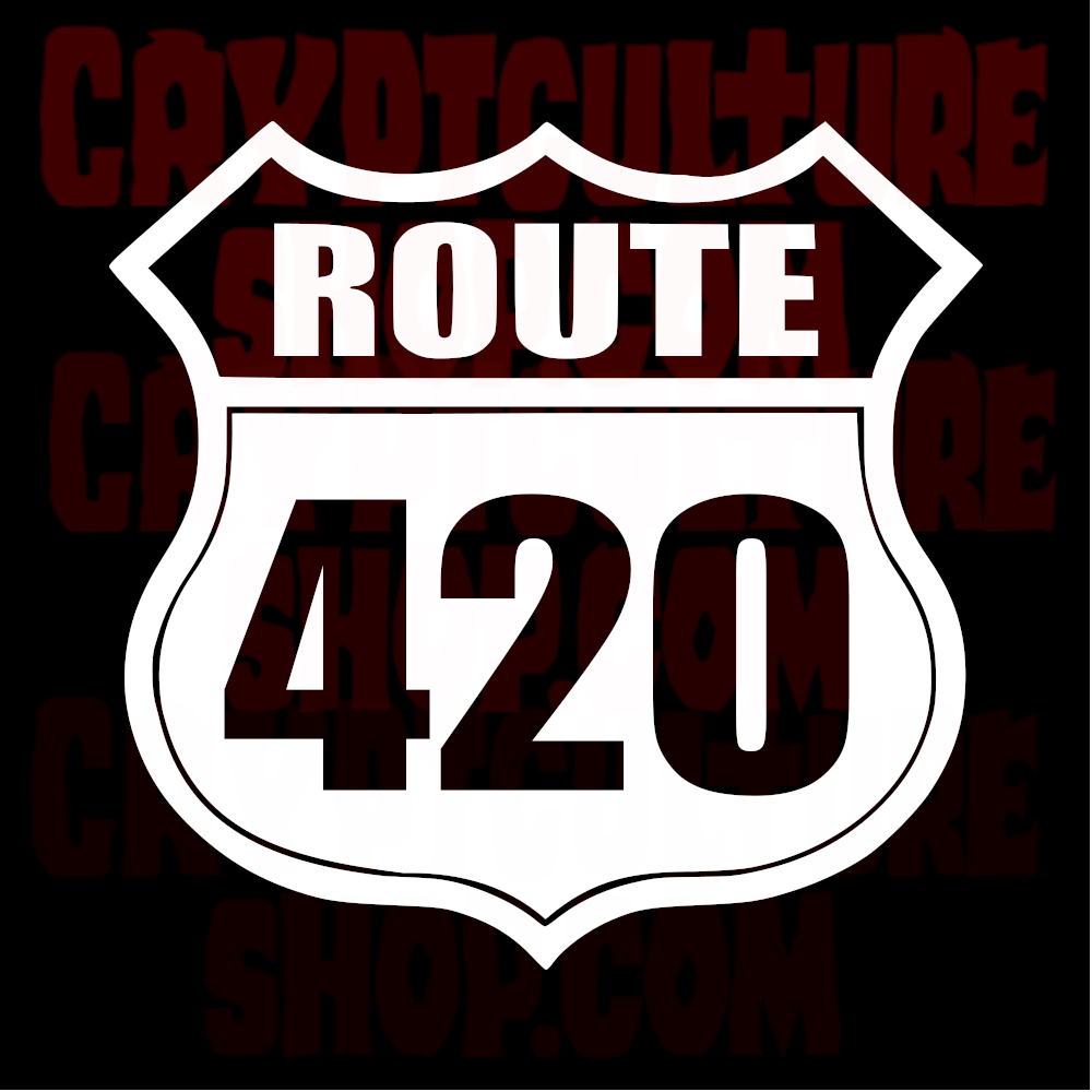 ROUTE 420